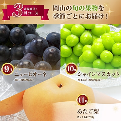 【発送月固定定期便】A 岡山県産 シャインマスカット(晴王)・あたご梨ほか全3回【配送不可地域：離島・北海道・沖縄県】