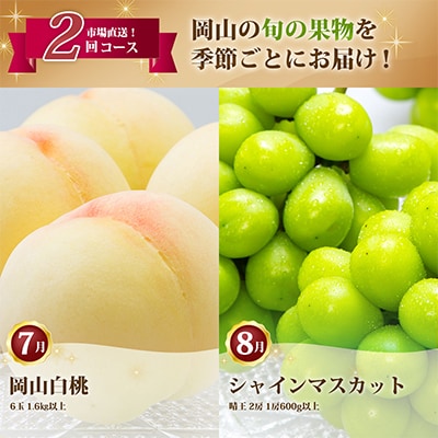 【発送月固定定期便】岡山県産 白桃・シャインマスカット(晴王)全2回【配送不可地域：離島・北海道・沖縄県】