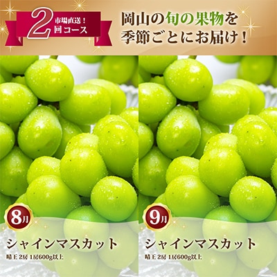 【発送月固定定期便】岡山県産 シャインマスカット『晴王』定期便全2回【配送不可地域：離島・北海道・沖縄県】