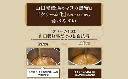 【毎月定期便】マヌカ蜂蜜(クリームタイプ)MG250+(22178)全12回