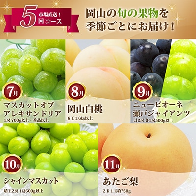 【発送月固定定期便】B 岡山県産 白桃・シャインマスカット(晴王)・あたご梨ほか　全5回【配送不可地域：離島・北海道・沖縄県】