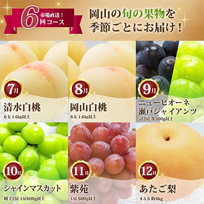 【発送月固定定期便】岡山県産 フルーツ定期便全6回【配送不可地域：離島・北海道・沖縄県】