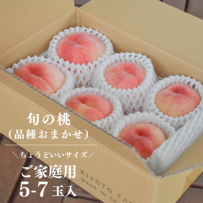 【発送月固定定期便】【2026年先行予約】桃と葡萄どっちも食べたい便!【お試し便】(岡山県産)全2回【配送不可地域：離島・北海道・沖縄県】