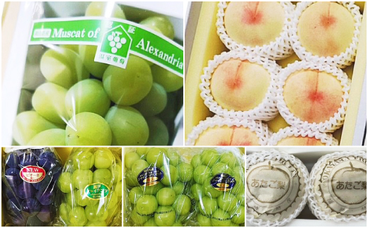 【発送月固定定期便】岡山県産 フルーツ定期便全5回【配送不可地域：離島・北海道・沖縄県】