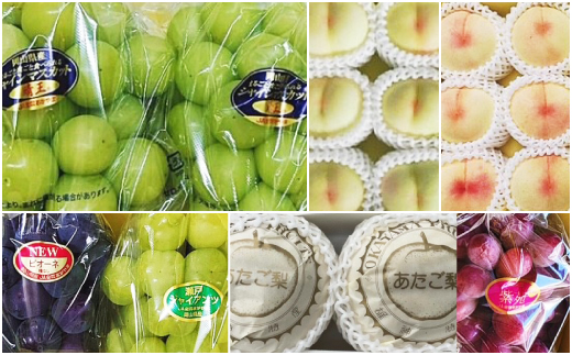 【発送月固定定期便】岡山県産 フルーツ定期便全6回【配送不可地域：離島・北海道・沖縄県】