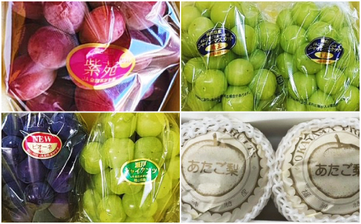 【発送月固定定期便】岡山県産 フルーツ定期便全4回【配送不可地域：離島・北海道・沖縄県】