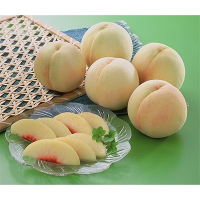 【発送月固定定期便】岡山旬の果物定期便(白桃・種なしぶどう・新高梨) 全3回【配送不可地域：離島・北海道・沖縄県】