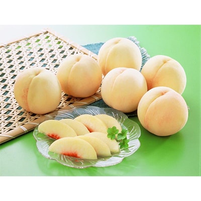 【発送月固定定期便】岡山旬の果物定期便(白桃・シャインマスカット・新高梨) 全3回【配送不可地域：離島・北海道・沖縄県】