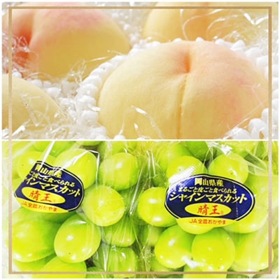 【発送月固定定期便】岡山県産 フルーツ定期便全6回【配送不可地域：離島・北海道・沖縄県】