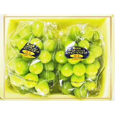 【発送月固定定期便】岡山県産 シャインマスカット『晴王』定期便全3回【配送不可地域：離島・北海道・沖縄県】