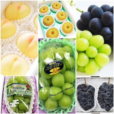 【発送月固定定期便】岡山県産 フルーツ定期便全6回【配送不可地域：離島・北海道・沖縄県】