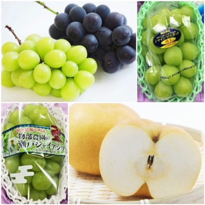 【発送月固定定期便】岡山県産 フルーツ定期便全4回【配送不可地域：離島・北海道・沖縄県】