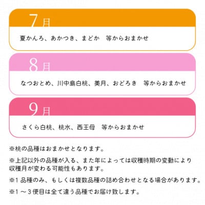 【発送月固定定期便】【2026年先行予約】桃好きの為の桃3回便!(上級品5-7玉入)(岡山産)全3回【配送不可地域：離島】