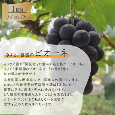 【発送月固定定期便】2026年先行予約 量も質も満足の葡萄3種が届く!ぶどう3回便!(岡山産)全3回【配送不可地域：離島】