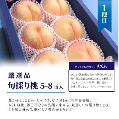 【発送月固定定期便】【2026年先行予約】桃、ぶどう、梨の最上級品を旬にお届け3回便(岡山産)全3回【配送不可地域：離島・北海道・沖縄県】