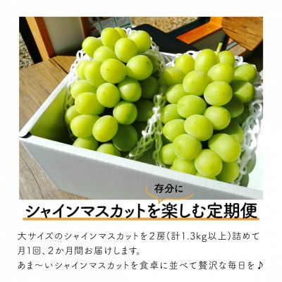 【発送月固定定期便】【2026年先行予約】シャインマスカット大2房の満足便/全便計2.6kg～全2回【配送不可地域：離島】
