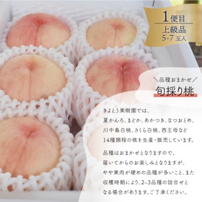 【発送月固定定期便】【2026年先行予約】岡山の桃、ぶどう、梨を産地直送!多品種を楽しむ定期便全3回【配送不可地域：離島・北海道・沖縄県】