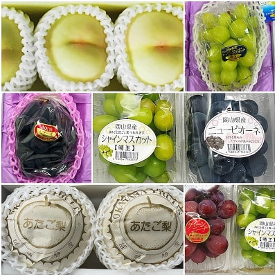 【発送月固定定期便】岡山県産 フルーツ定期便〈お一人様向け〉全6回【配送不可地域：離島・北海道・沖縄県】