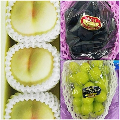 【発送月固定定期便】岡山県産 フルーツ定期便〈お一人様向け〉全3回【配送不可地域：離島・北海道・沖縄県】