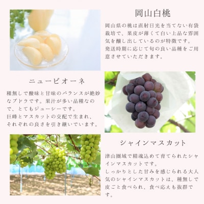 【発送月固定定期便】岡山県産旬のフルーツ定期便　少量セット全3回【配送不可地域：離島・北海道・沖縄県】