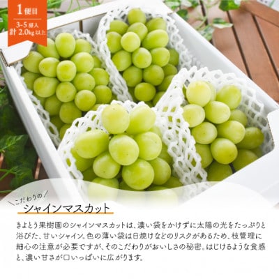 【発送月固定定期便】【2026年先行予約】シャインマスカット計2kg～と梨2-3種上級品岡山産全2回【配送不可地域：離島】