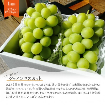 【発送月固定定期便】【2026年先行予約】シャインマスカット大2房と梨2-3種上級品(岡山産)全2回【配送不可地域：離島】