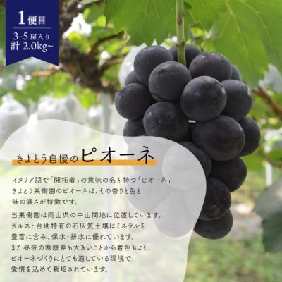 【発送月固定定期便】【2026年先行予約】ピオーネとシャインマスカットの2回便!(岡山県産)全2回【配送不可地域：離島】