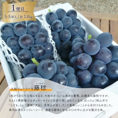 【発送月固定定期便】【2026年先行予約】藤稔とシャインマスカット各2kg入の定期便(岡山産)全2回【配送不可地域：離島】