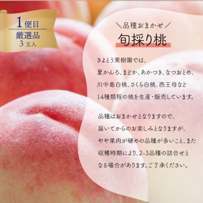 【発送月固定定期便】【2026年先行予約】厳選された大玉桃3玉と大粒シャインマスカット定期便!全2回【配送不可地域：離島】