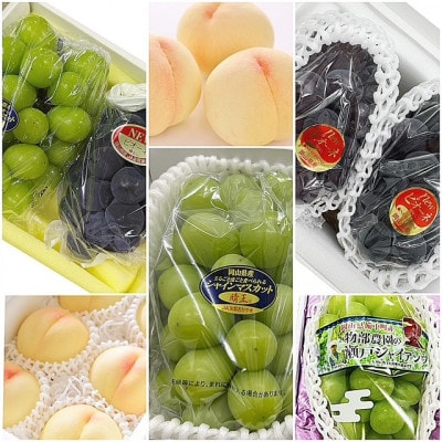 【発送月固定定期便】岡山県産  フルーツ定期便全6回【配送不可地域：離島・北海道・沖縄県】