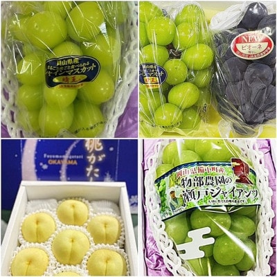 【発送月固定定期便】岡山県産  フルーツ定期便全4回【配送不可地域：離島・北海道・沖縄県】