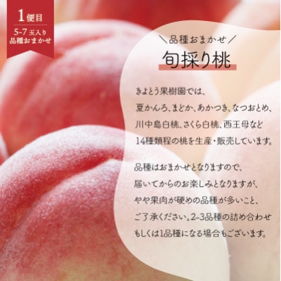 【発送月固定定期便】【2026年先行予約】桃、ピオーネ、シャインマスカット定期便 (岡山県産)全3回【配送不可地域：離島】