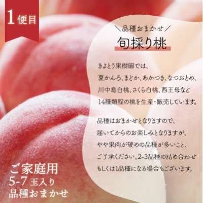 【発送月固定定期便】【2026年先行予約】旬採り桃とピオーネ、シャインマスカットが届く/岡山産全3回【配送不可地域：離島】