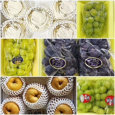 【発送月固定定期便】岡山県産  フルーツ定期便全6回【配送不可地域：離島】