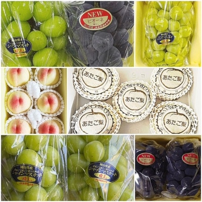 【発送月固定定期便】岡山県産  フルーツ定期便全6回【配送不可地域：離島】