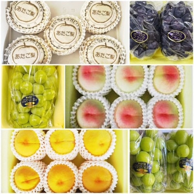 【発送月固定定期便】岡山県産  フルーツ定期便全6回【配送不可地域：離島】