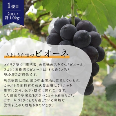 【発送月固定定期便】ピオーネとシャインマスカットお試し便 (岡山県産)全2回【配送不可地域：離島】