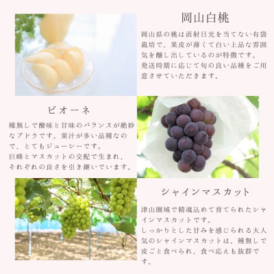 【発送月固定定期便】岡山県産旬のフルーツ定期便　少量セット全3回【配送不可地域：離島・北海道・沖縄県】