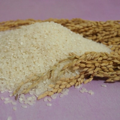 2022年7月発送開始『定期便』特別栽培こしひかり　岡山県津山　突鉱土育ちトッコウ米10kg全6回