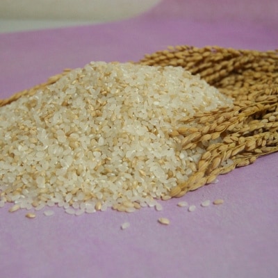 2022年7月発送開始『定期便』津山　特別栽培　巨大胚芽玄米ブレンド! カラダ麗し米5kg全6回