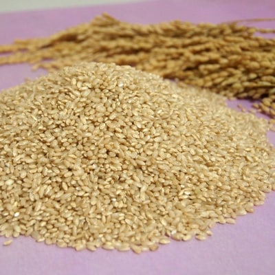 2022年7月発送開始『定期便』3倍大の胚芽!津山突鉱土育ち　特別栽培・巨大胚芽玄米5kg全6回