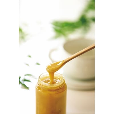 2023年8月発送開始『定期便』マヌカ蜂蜜(クリームタイプ)MG100+(22193)　全12回