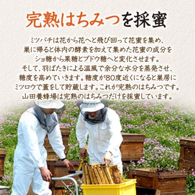 山田養蜂場の里山のあかしあ蜂蜜(3503)