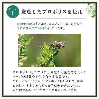 プロポリススプレー(11104)