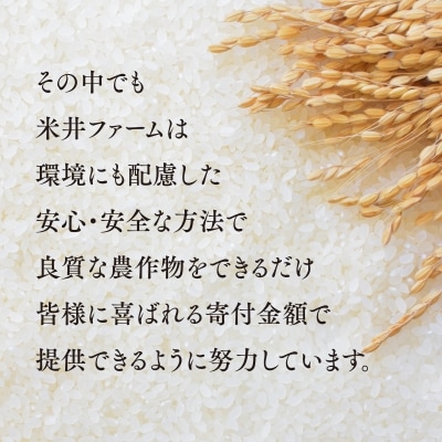 おいしいお米(5kg) 無洗米 リピーター続出 きぬむすめ