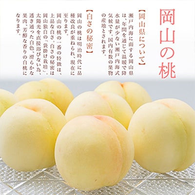 【先行受付】岡山県産　白桃8玉(1.7kg以上)　化粧箱入り【配送不可地域：離島・北海道・沖縄県】