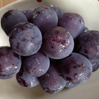 新鮮・朝採り後即出荷!　岡山県　吉備高原産ニューピオーネ　2kg箱(3～4房入)ご贈答品