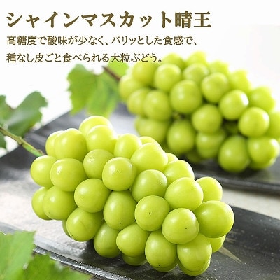 【先行受付】岡山県産　岡山白桃エース3L300g×2玉・シャインマスカット晴王600g×1房　詰合【配送不可地域：離島・北海道・沖縄県】