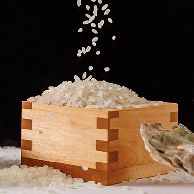 【令和7年産】岡山県産　かき殻米　白米10kg