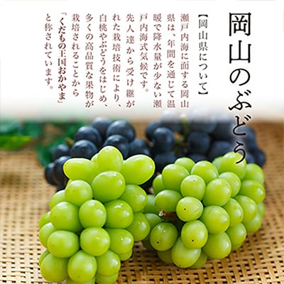 【先行受付】岡山県産　瀬戸ジャイアンツ2房　(1房480g以上)合計約1kg　化粧箱入り【配送不可地域：離島・北海道・沖縄県】